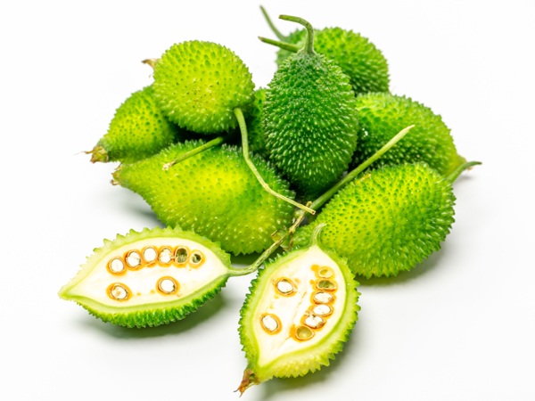 Kantola types of Melon