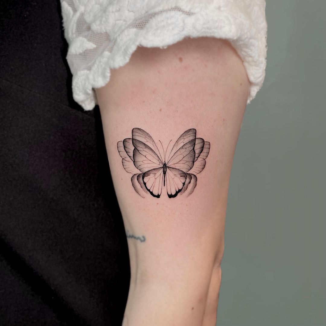 Shaded 3d Butterfly Tattoo