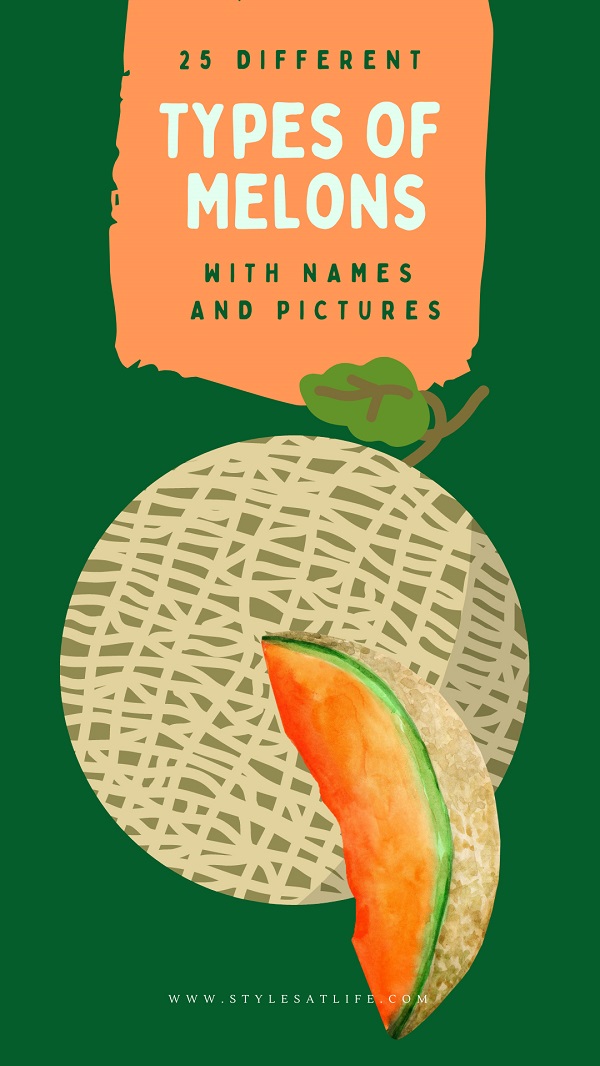 Types Of Melons With Names And Pictures