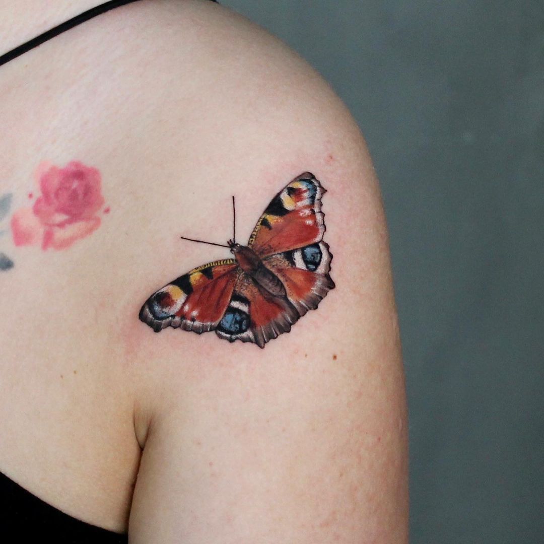 Vivid Colorful Butterfly Tattoo On Shoulder
