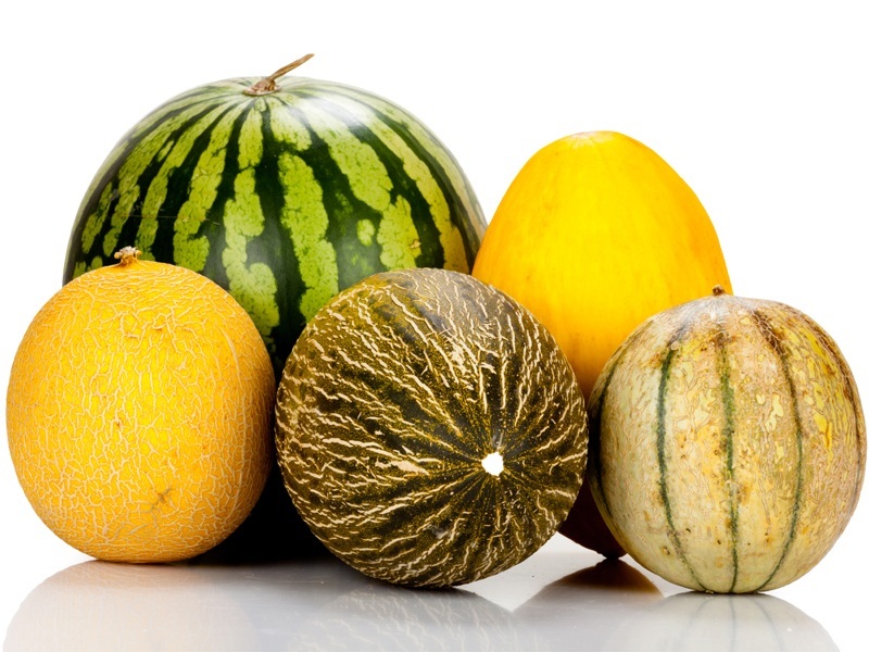types of melons