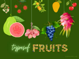 List of 25 Best Types of Fruits We Eat (Names and Pics)