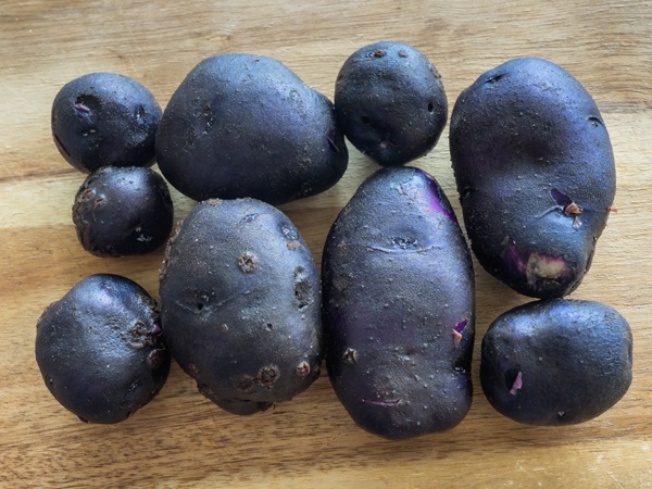 All Blue Potatoes