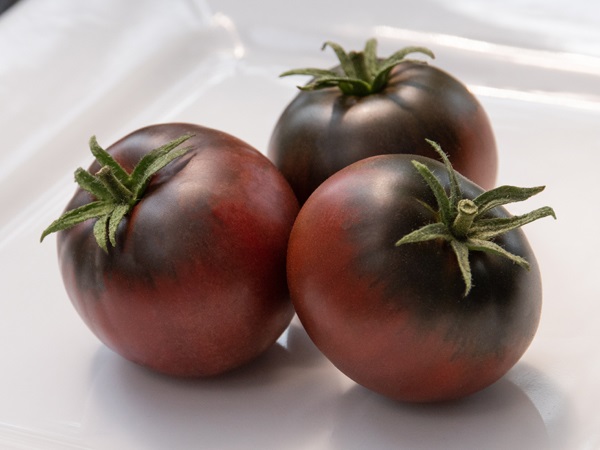 Cherokee Purple Tomatoes