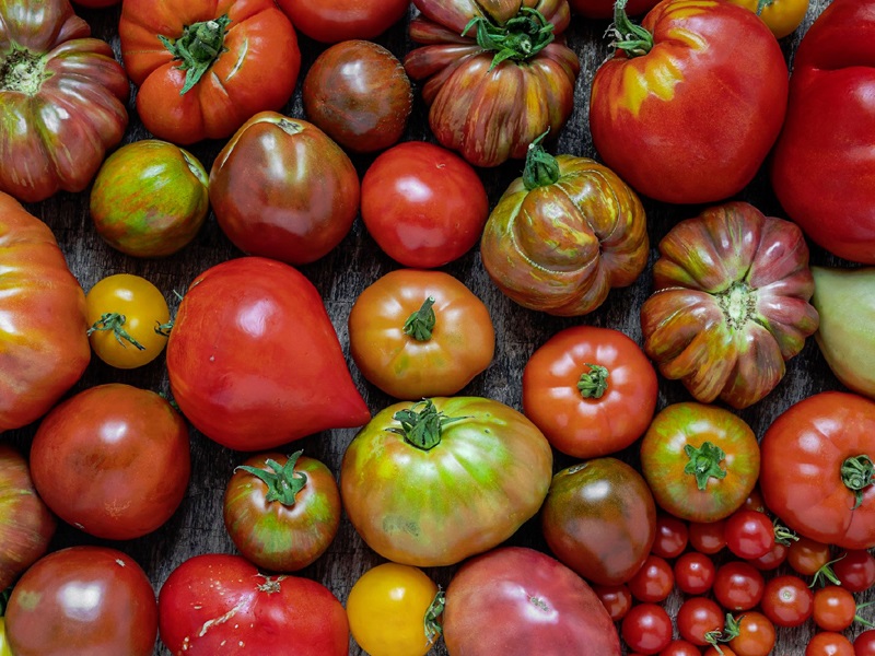 Types of Tomatoes