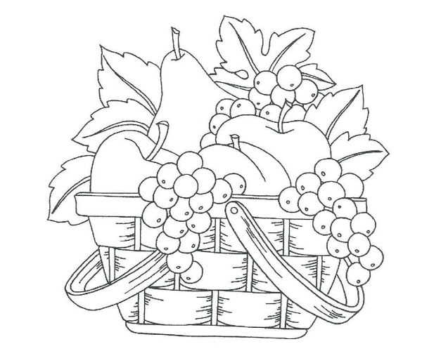 Basket of fruits #1 Drawing by Tara Krishna - Pixels-saigonsouth.com.vn