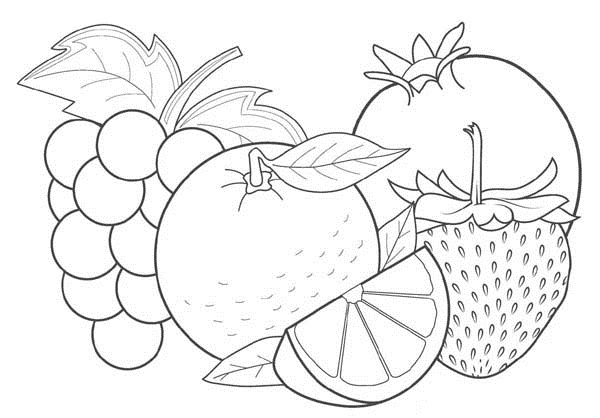Aggregate more than 161 fruits sketch for colouring best
