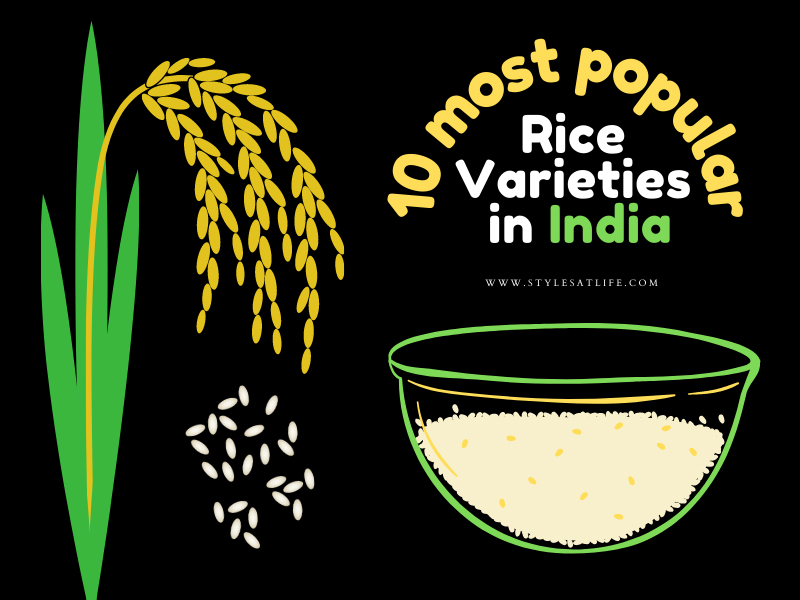 Types Of Rice Pictures