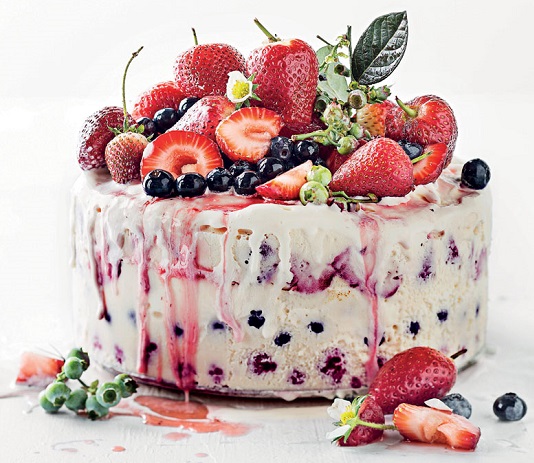 Berry Fruit Ice Cream Cake