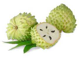 Lakshman Phal: Benefits and Side Effects of Soursop