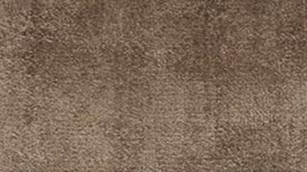 best types of carpets