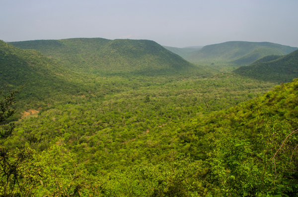 Kambalakonda Wildlife Sanctuary Vizag