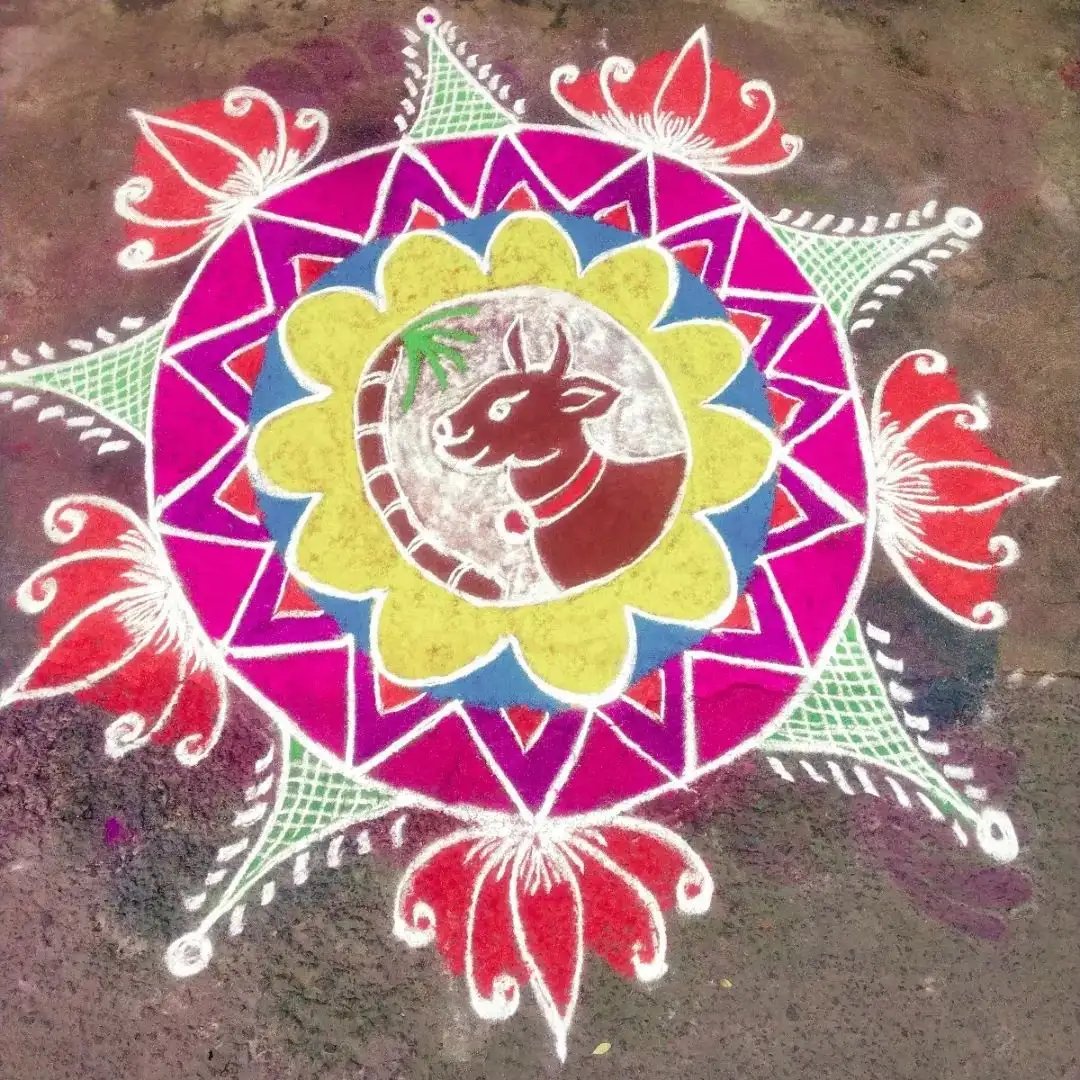 15 Best Pongal Kolam Designs With Pictures 2023