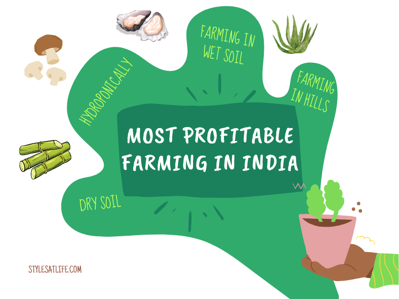 Most Profitable Farming Business In India