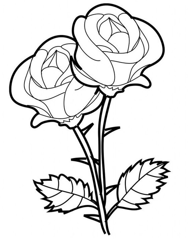 Easy Rose Coloring 