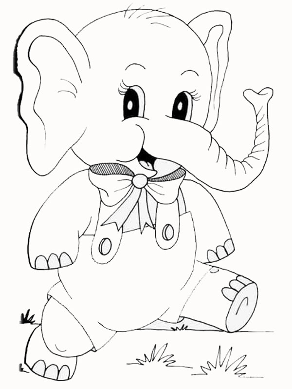 Elephant Coloring Page With A Bowtie