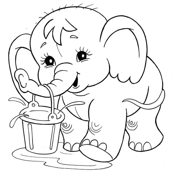 Enthralling Elephant 