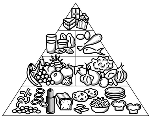 Food Pyramid Sheet