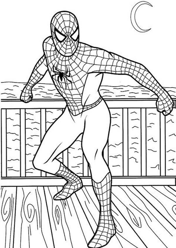 Spiderman Coloring Pages For Adults