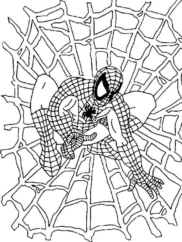 Spiderweb Coloring Page