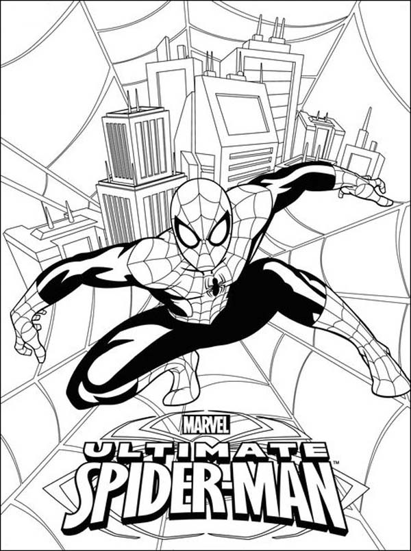 Ultimate Spider Man Picture