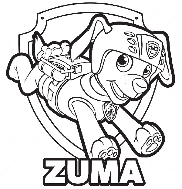Zuma Color Image