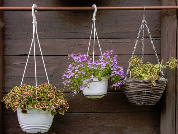 Hanging Plant Pots
