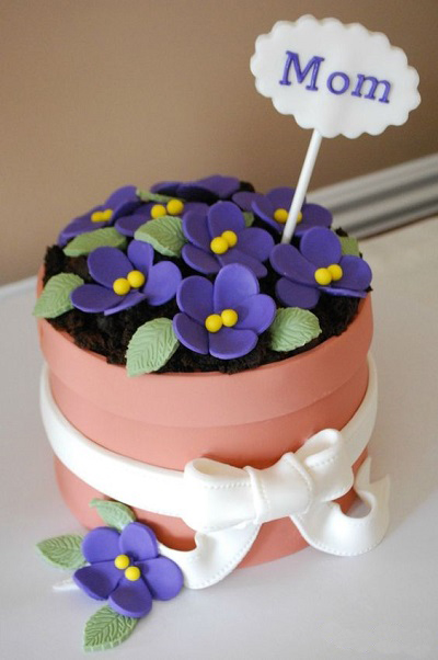 Flower pot cake Photos