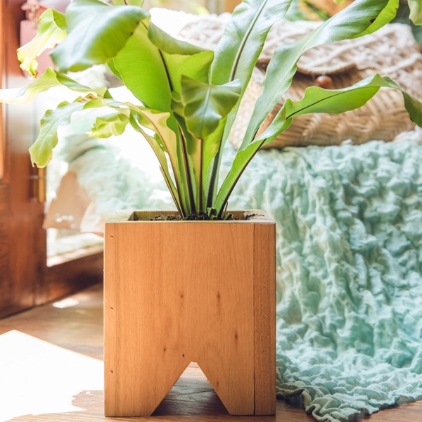 Wooden Plant Pot