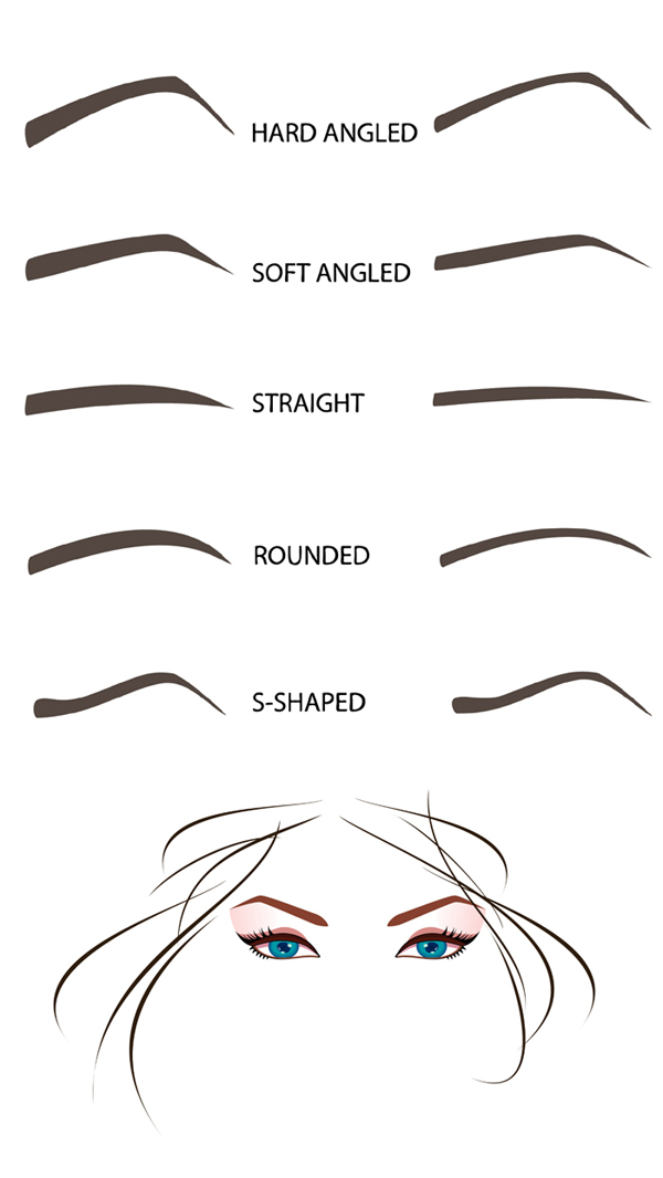 types of eyebrows