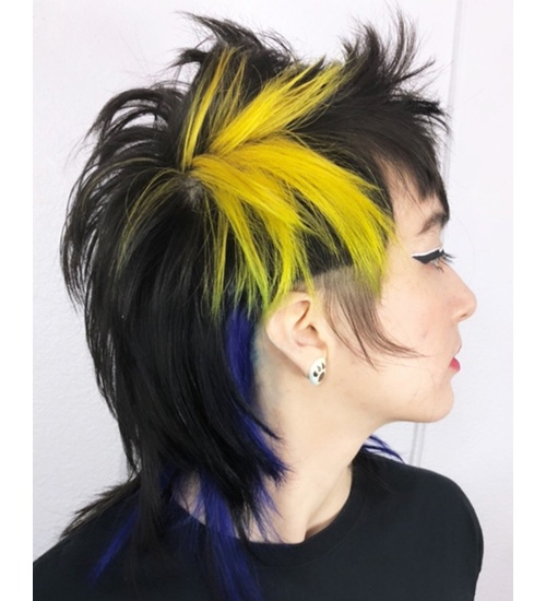 Punk Hairstyles For Women 26