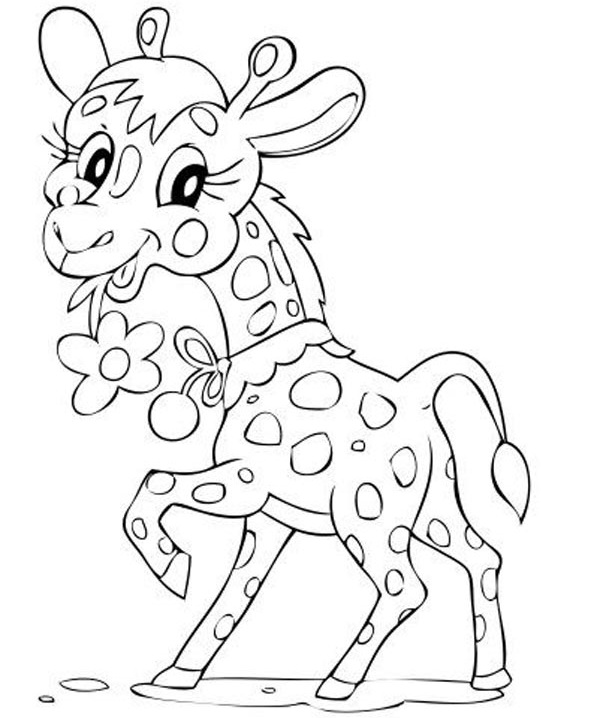 Baby Giraffe Page