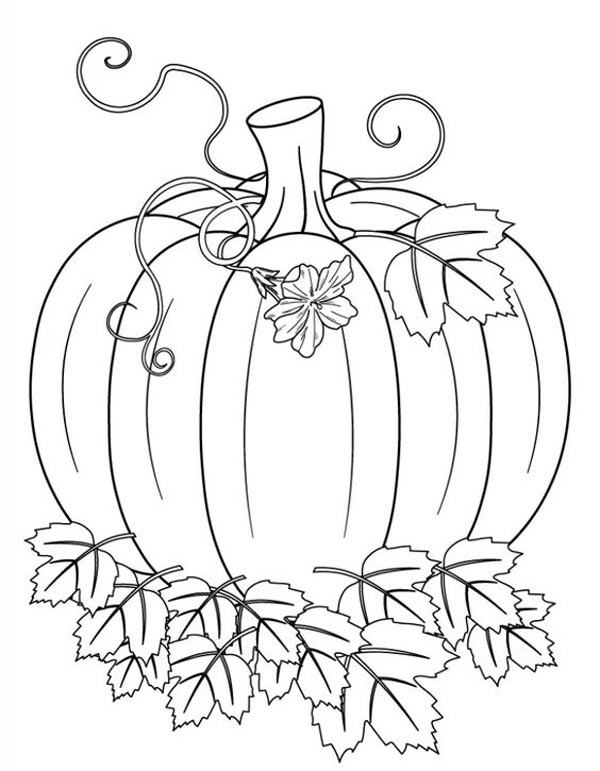 15 Mystical Pumpkin Coloring Pages with Colouring Tips