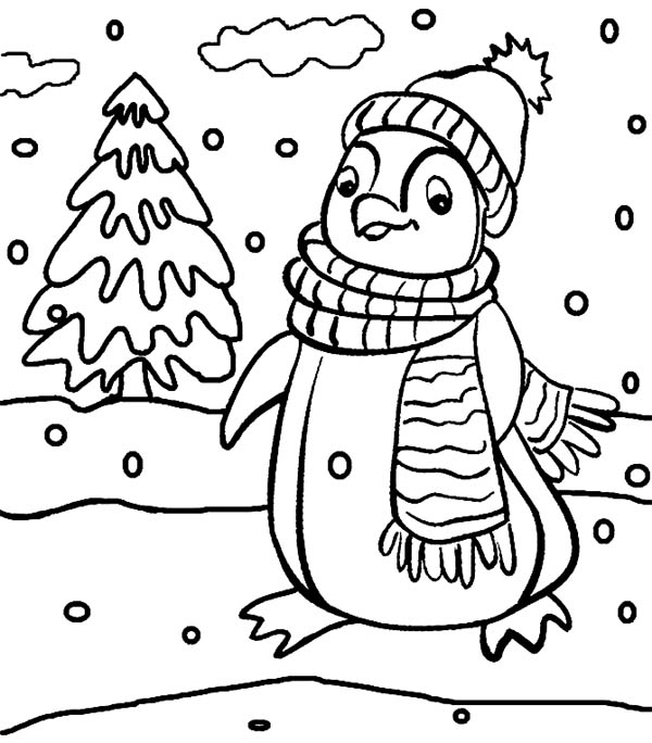 Christmas Penguin Colouring Picture