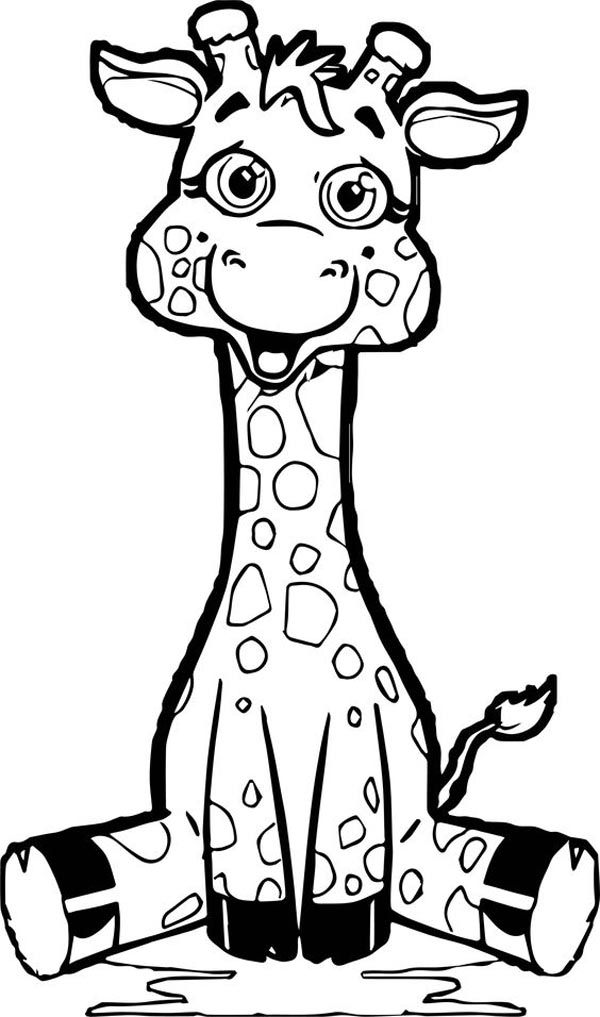 Funny Giraffe Picture