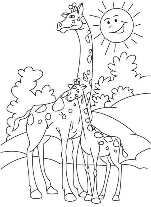 Giraffe Drawing For Coloring