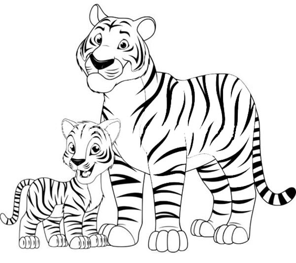 2,148 Tiger Realistic Color Drawing Images, Stock Photos & Vectors |  Shutterstock