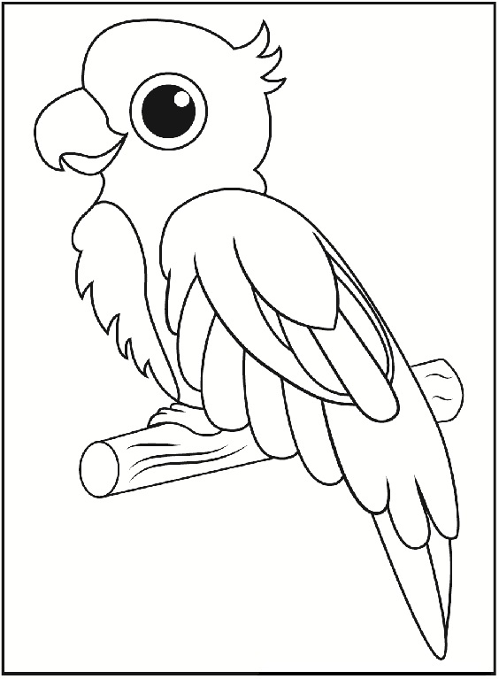 Parrot Coloring For Pre Schoolers