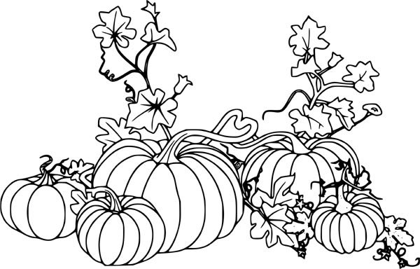 Pumpkin Colouring Image