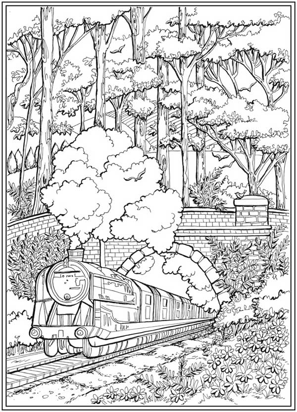 Train Coloring Page For Adults