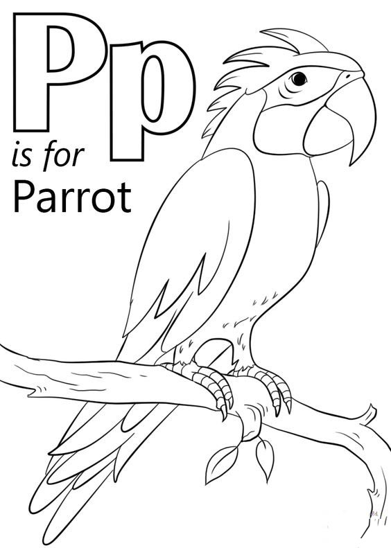Parrot Coloring Images For Toddlers