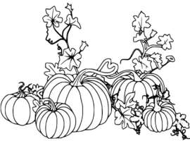 15 Mystical Pumpkin Coloring Pages with Colouring Tips