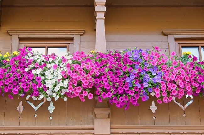 Balcony-Flower-Decoration-1