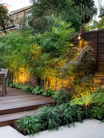 Contemporary Terrace Garden Design