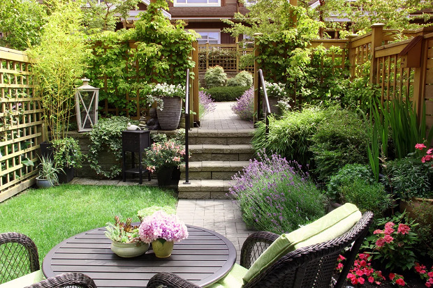 Terrace Design With Plants
