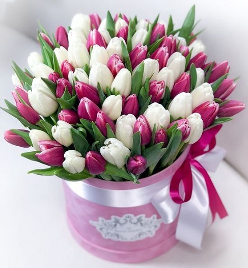 Tulip Flower Bouquet Design