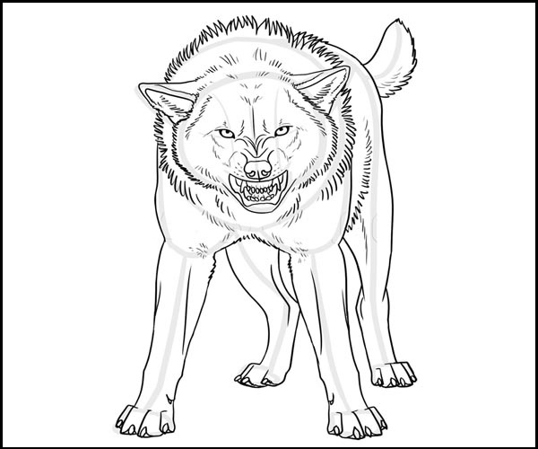 Angry Wolf Coloring Sheet