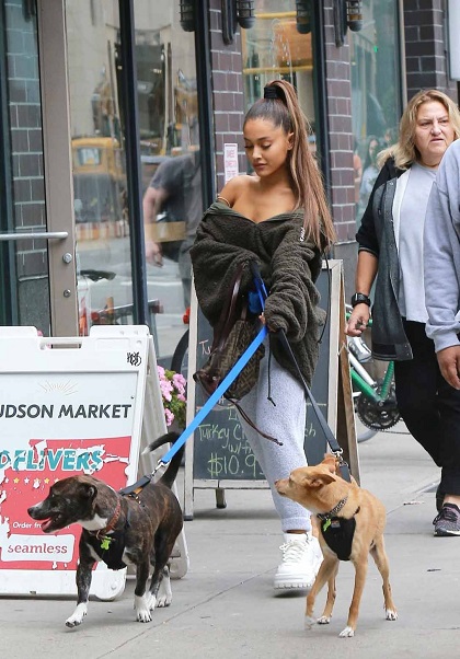 Ariana Grande Walks With Her Dogs