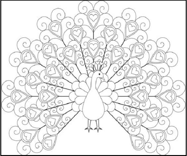 Peacock Coloring With Hearts