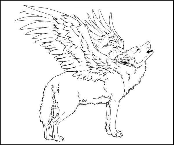 Winged Wolf Picture